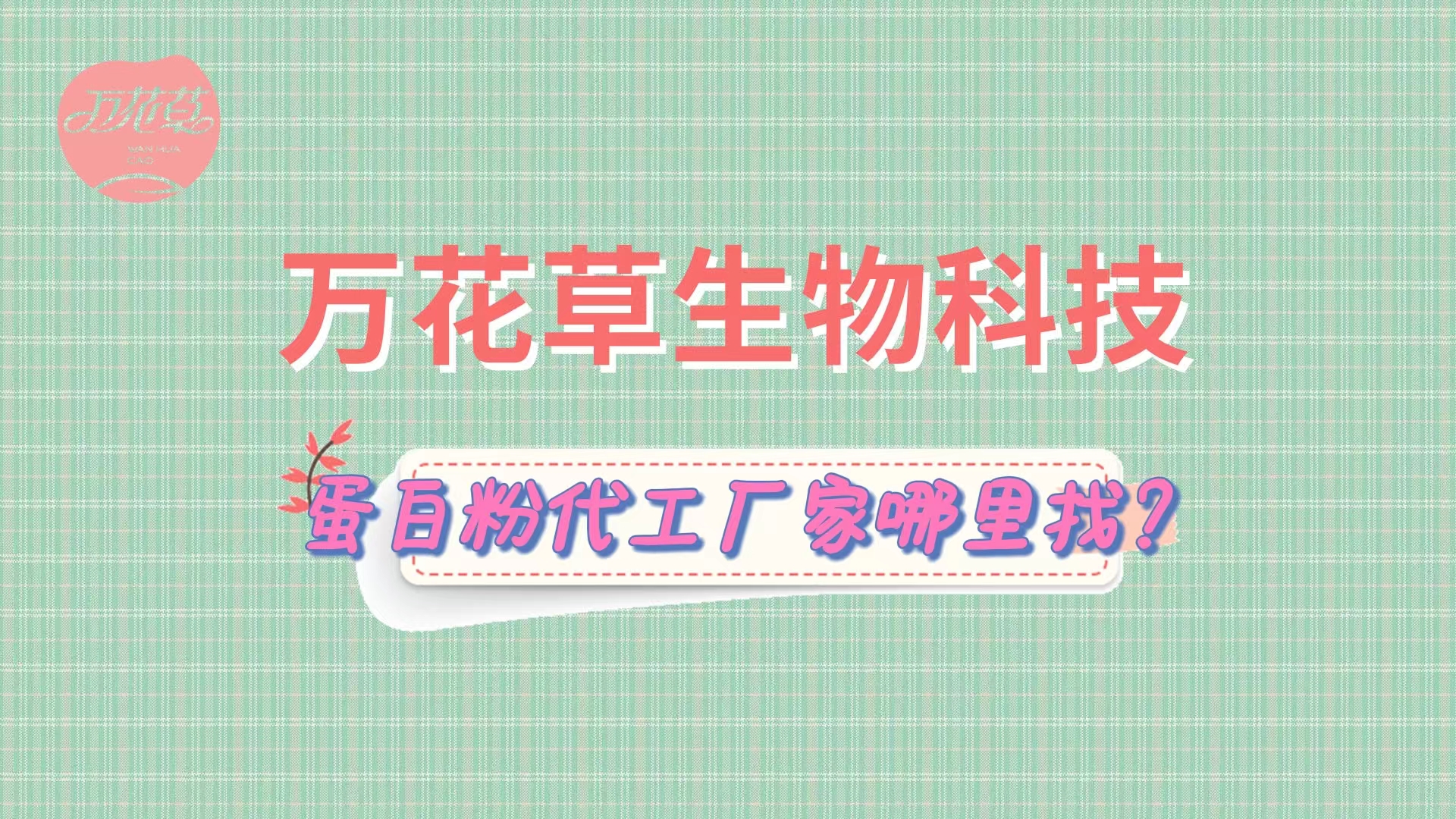 蛋白粉代加工，怎么找專業(yè)源頭廠家？