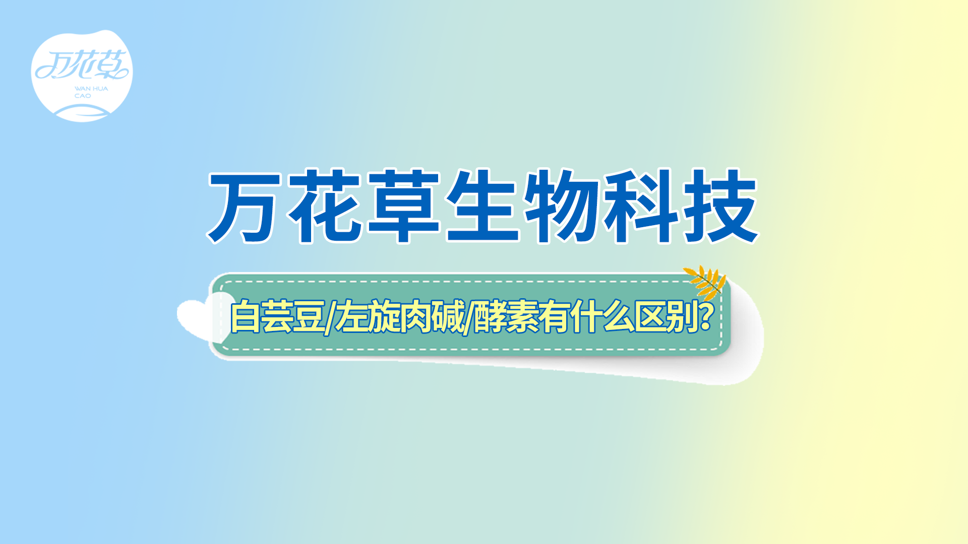 白蕓豆、左旋肉堿、嗨吃酵素有什么區(qū)別？